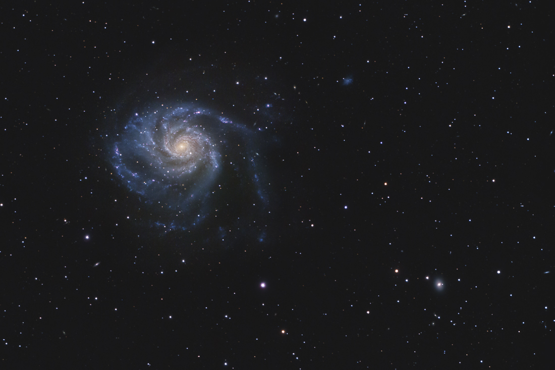 M101