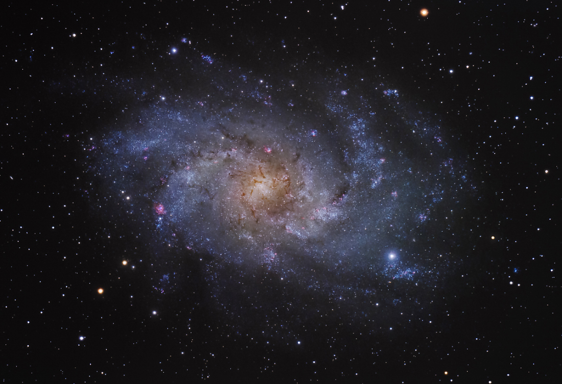 M33