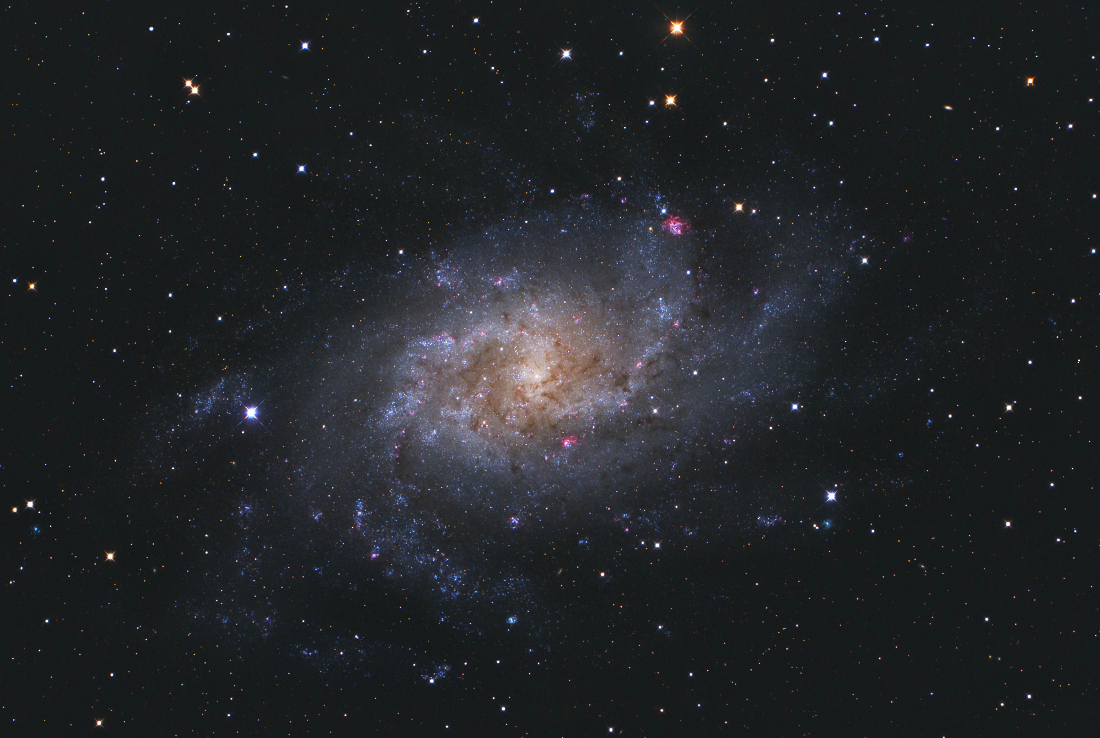 M33