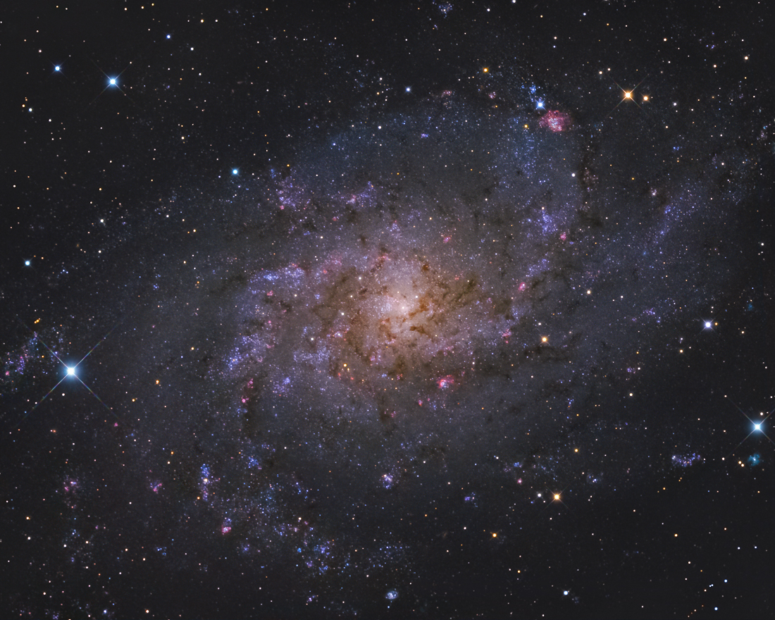M33