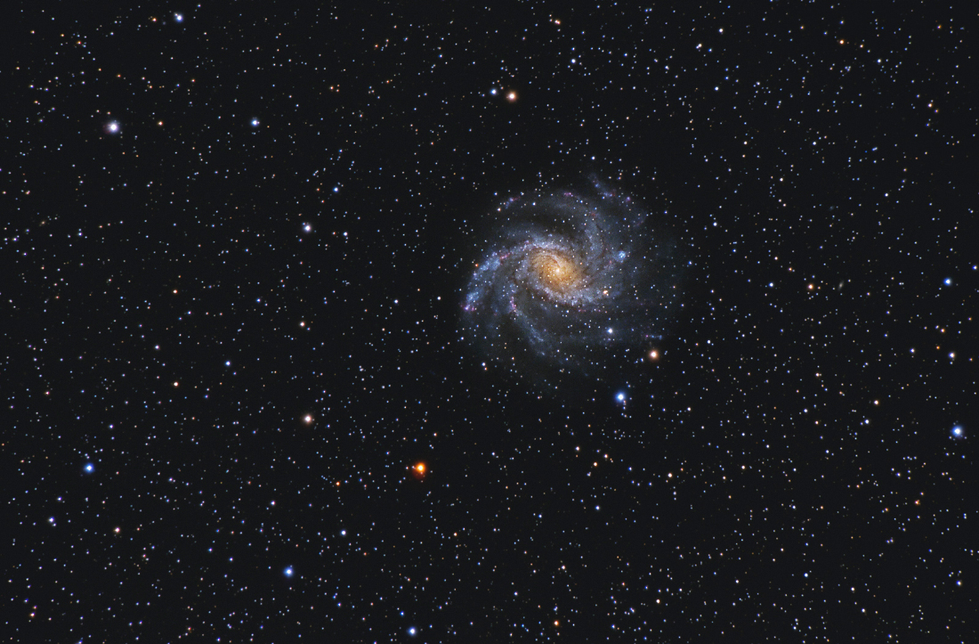 NGC6946